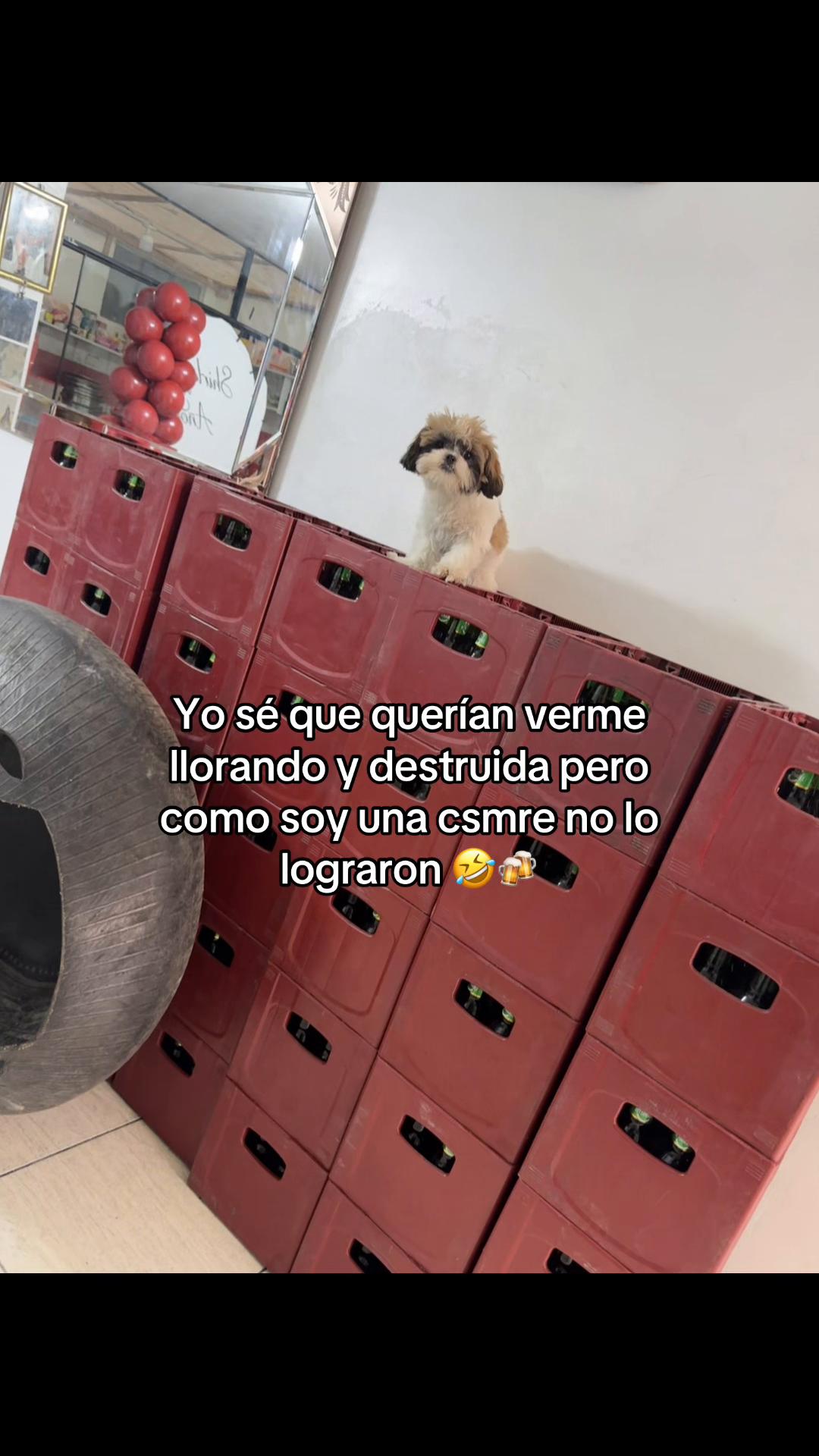@Ecruzado 🫀