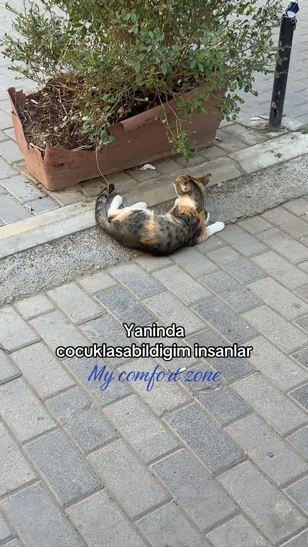 @𝑽ø𝒓𝒛𝒚𝒏𝟐𝟕