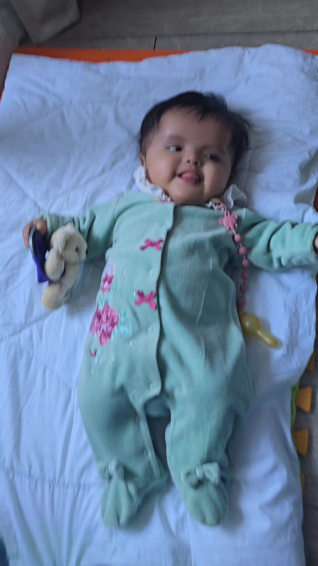 @La vida de baby Luna