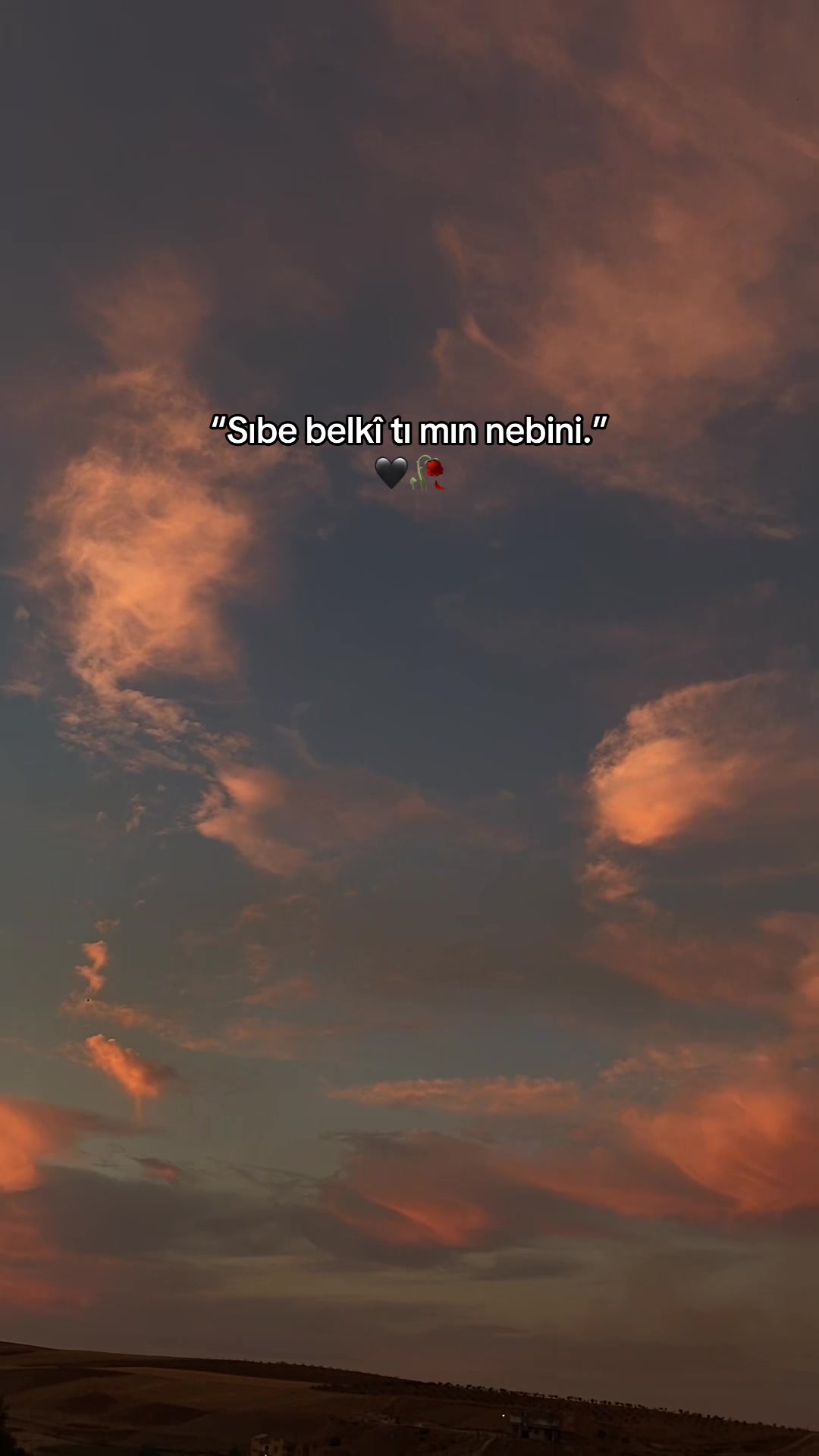 @Xexexe