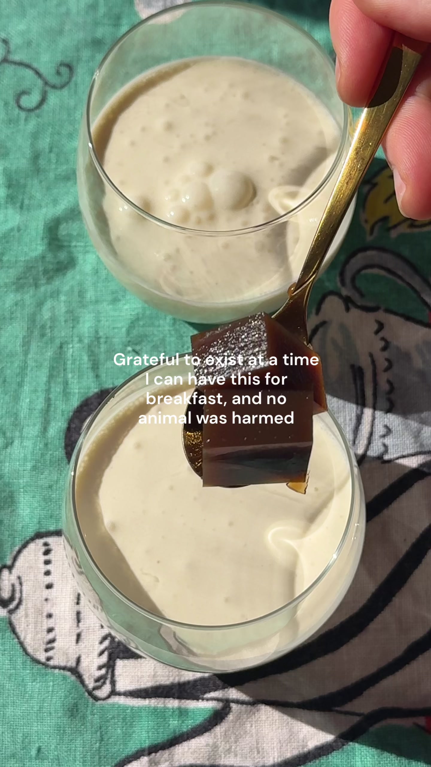 @VegKit