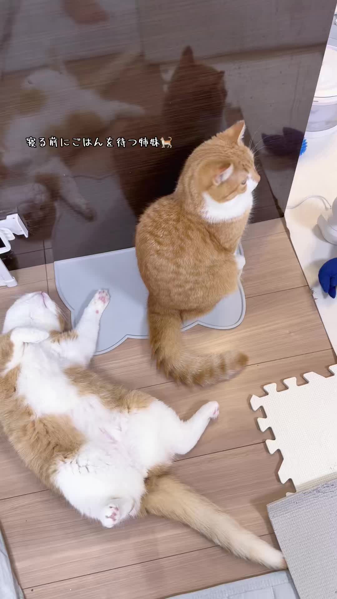 @マロン