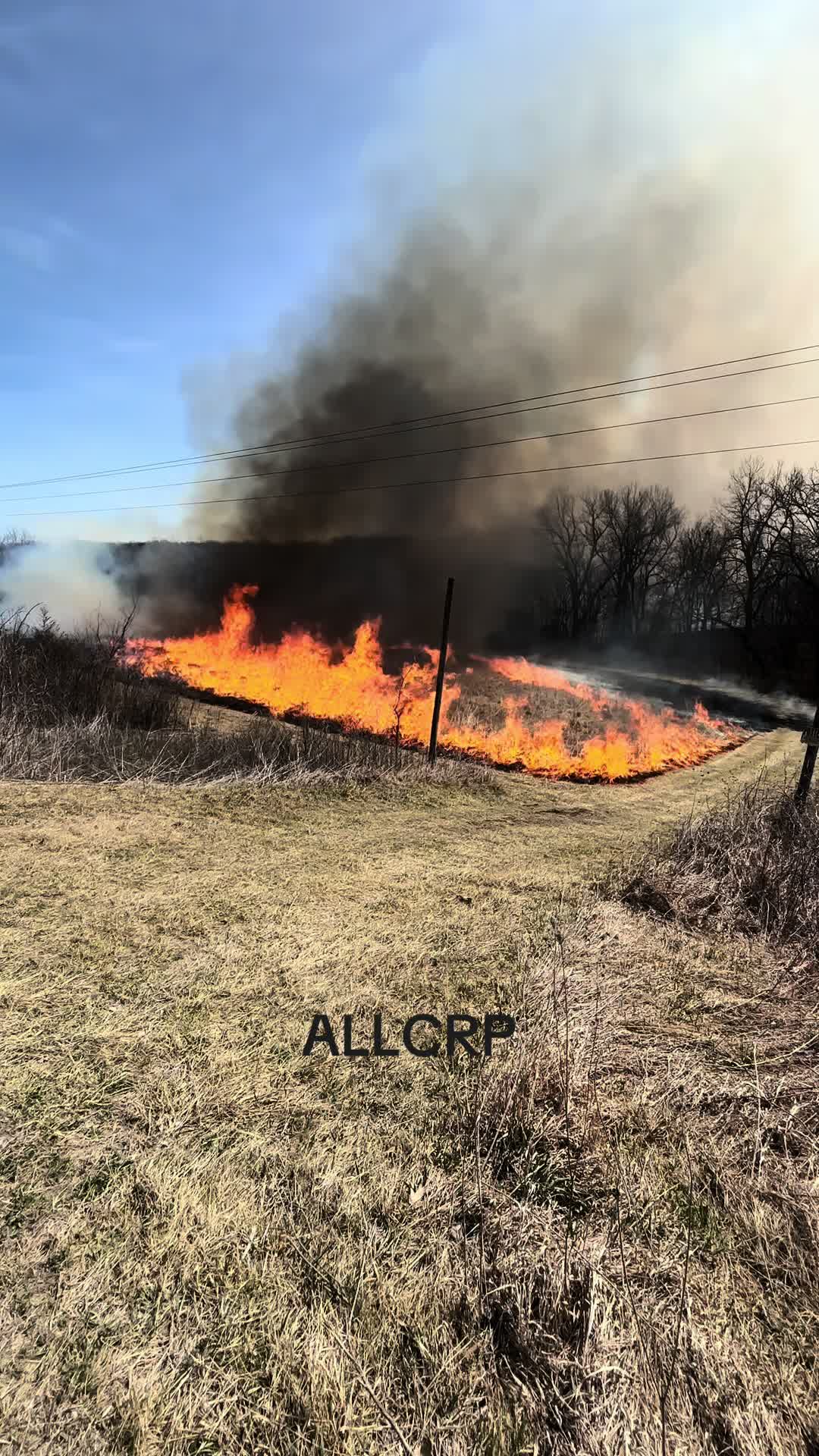 @allcrp