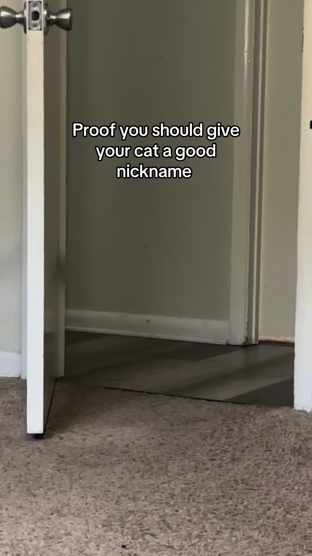 @Micaela Petrosky