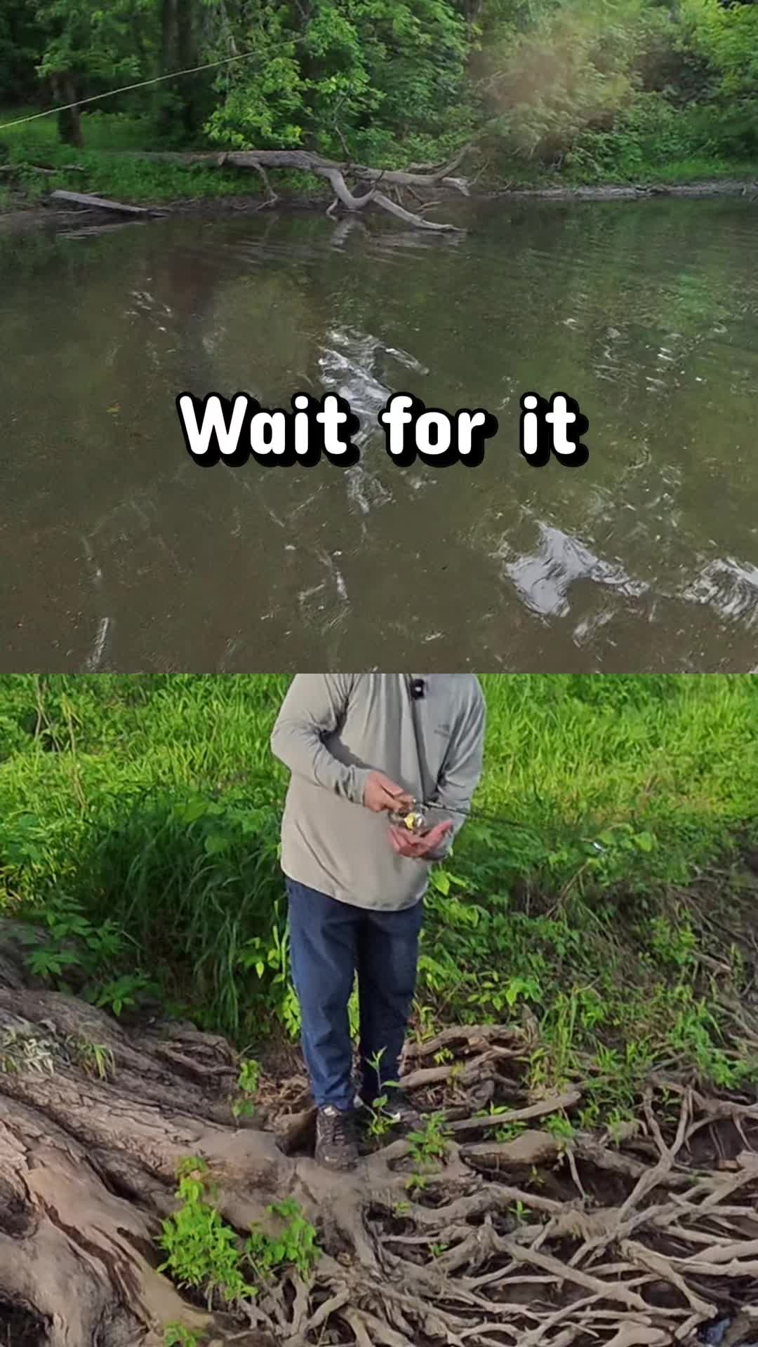 @Shonuff