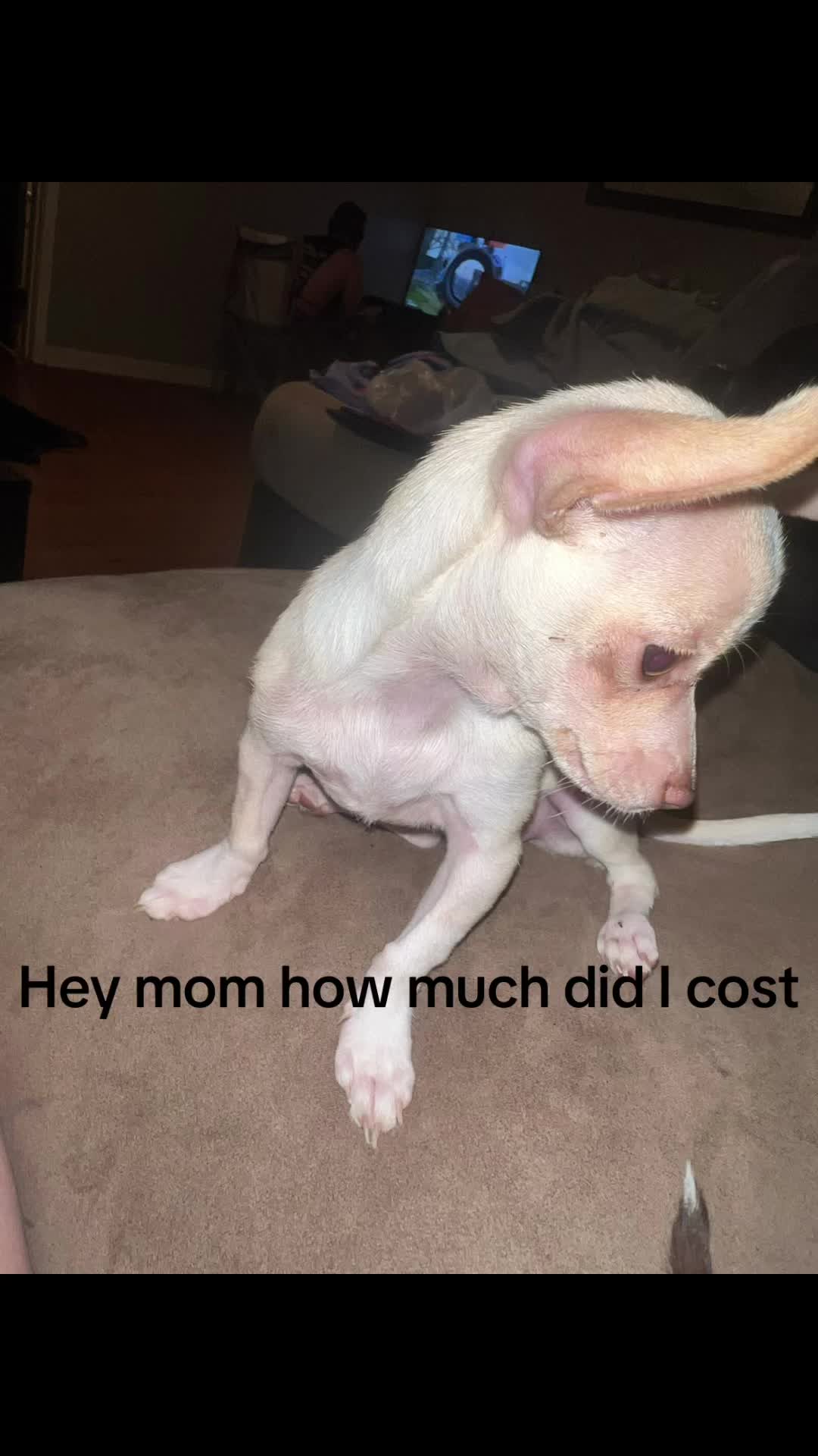 @Lacie&ensp;Murry