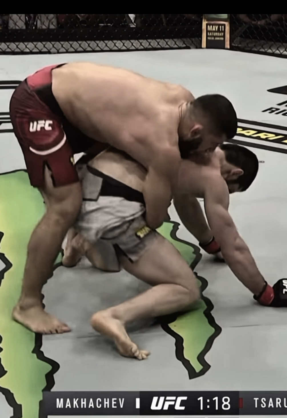 @kentizmma 🕷️