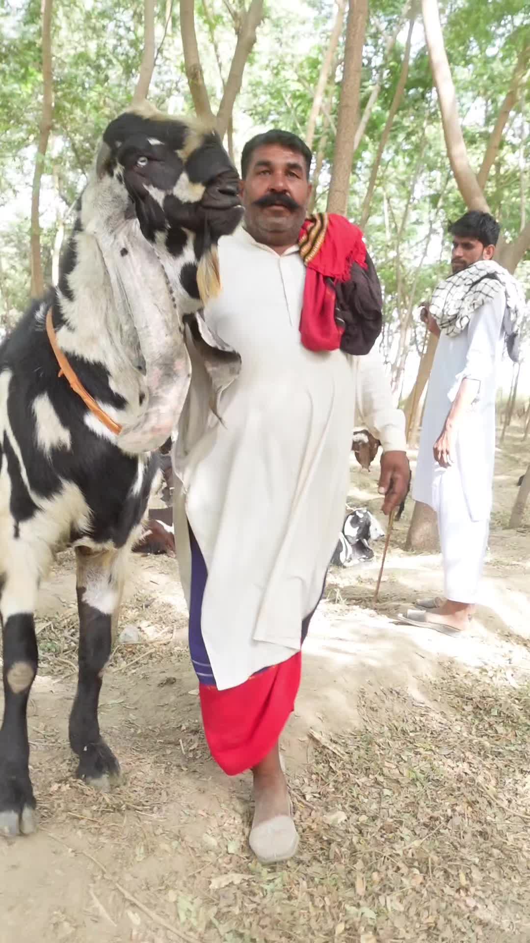 @Sufyan Gujjar