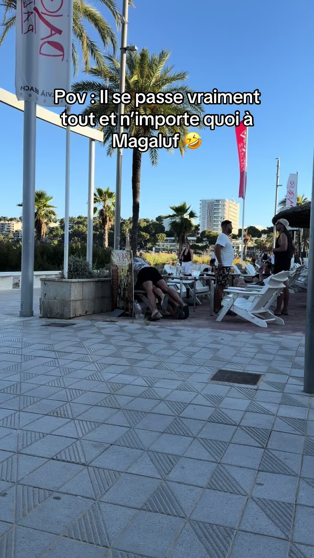 @Willi Mallorca Promoteur