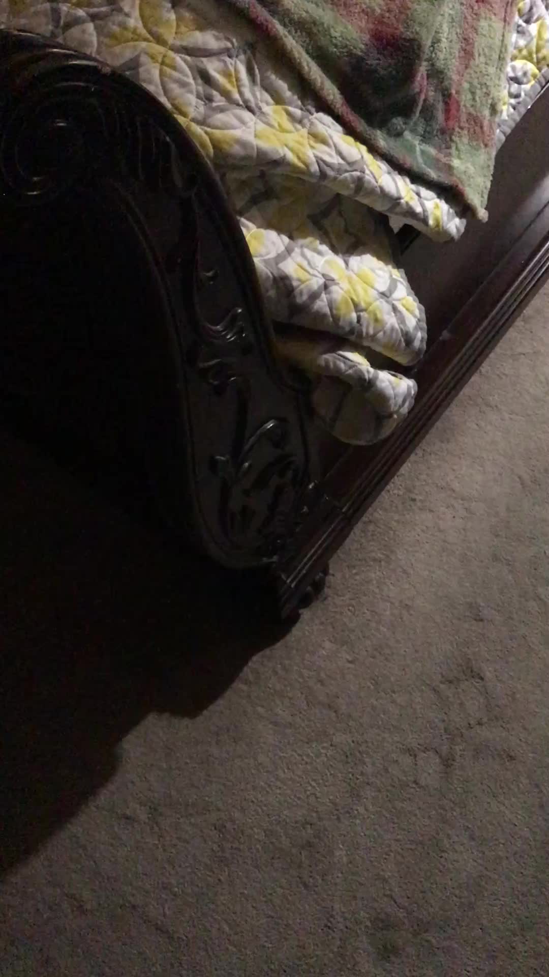 @roundtripperss