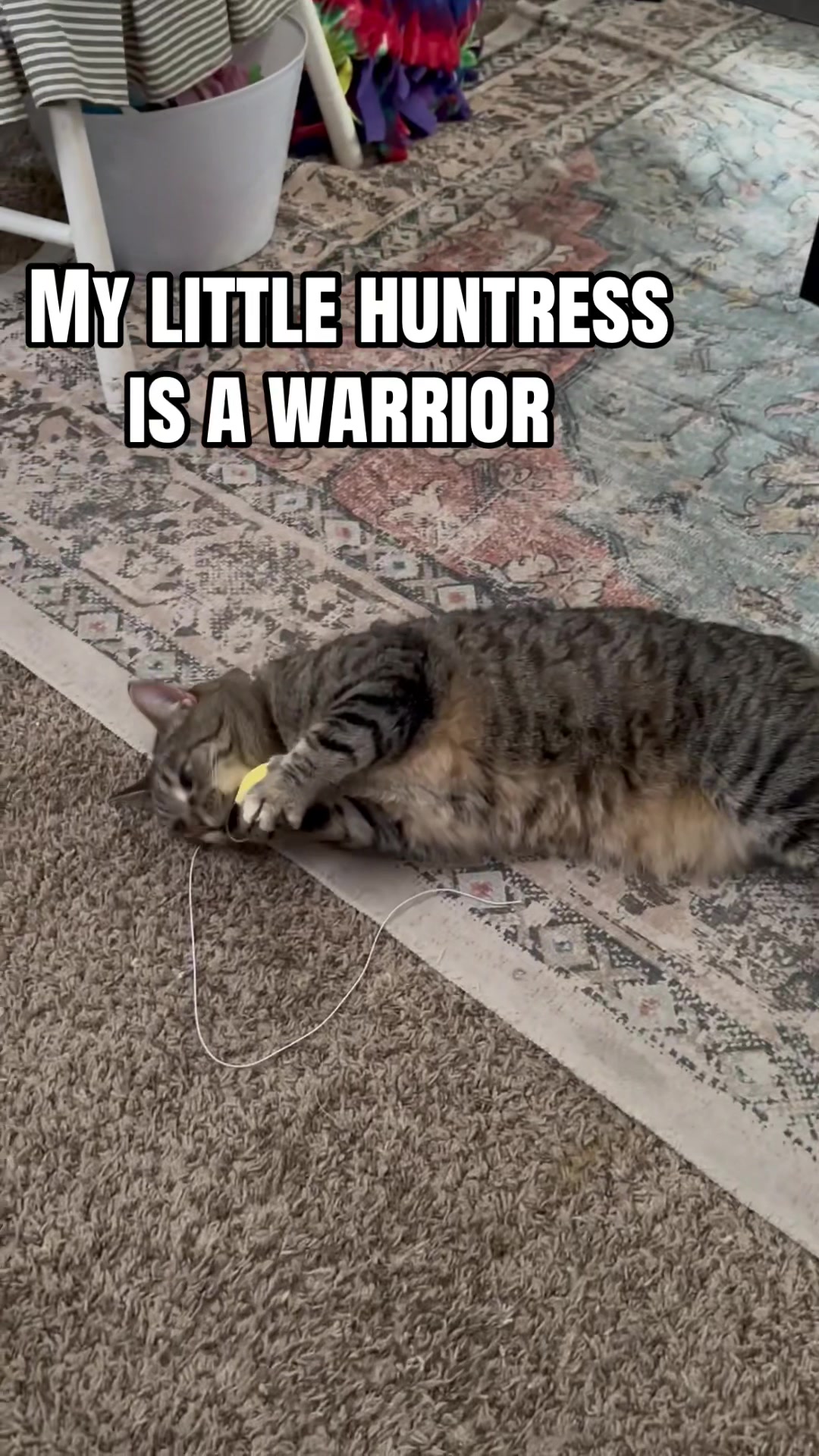 @Erin ❌G7 🐈&zwj;⬛