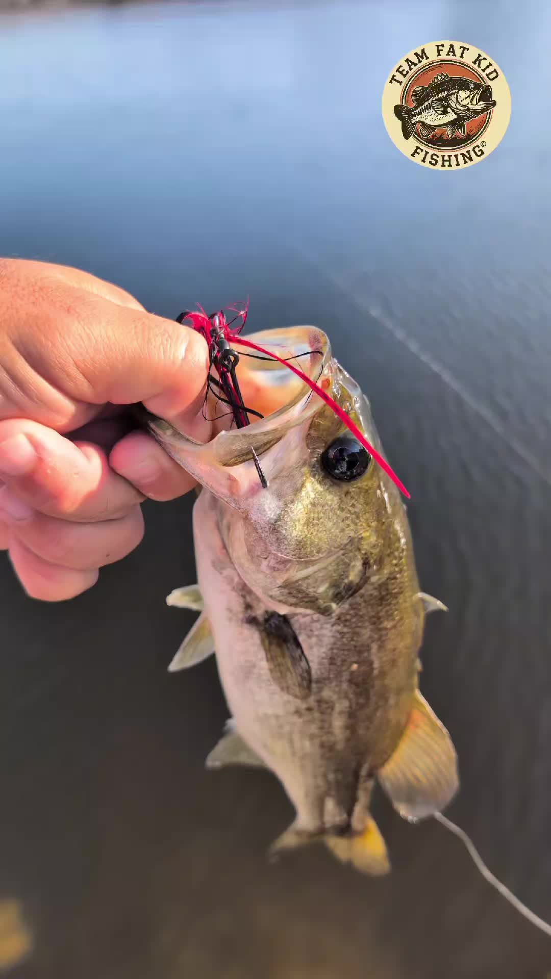 @Team Fat Kid Fishing