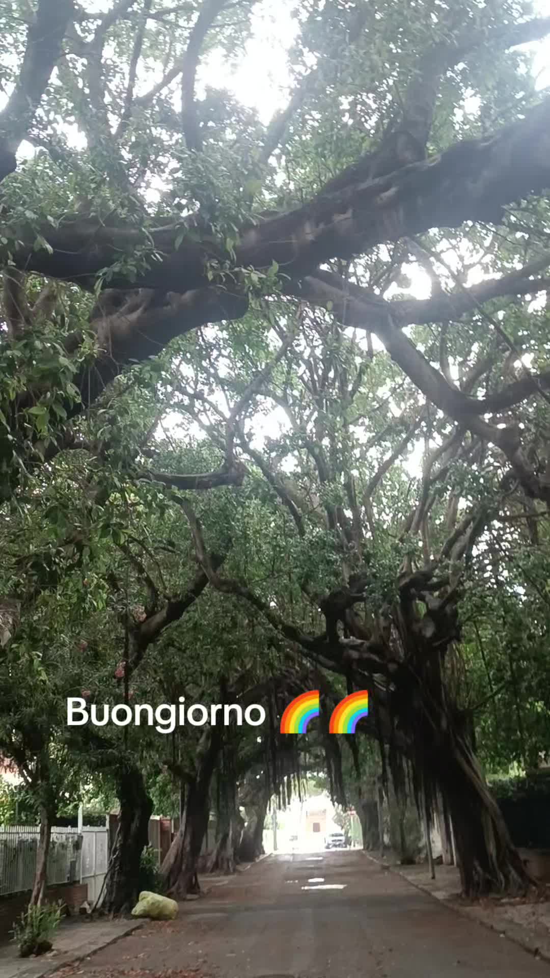 @🌈vita 🌈