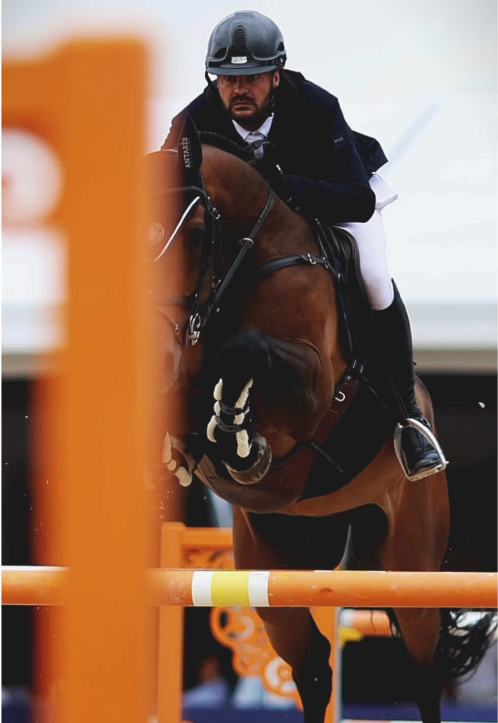 @shoot_equestres