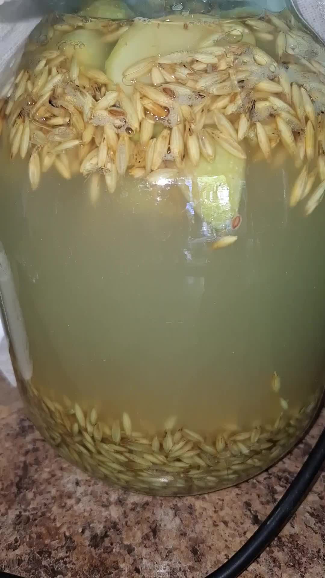 @Mashulya_Mukbang