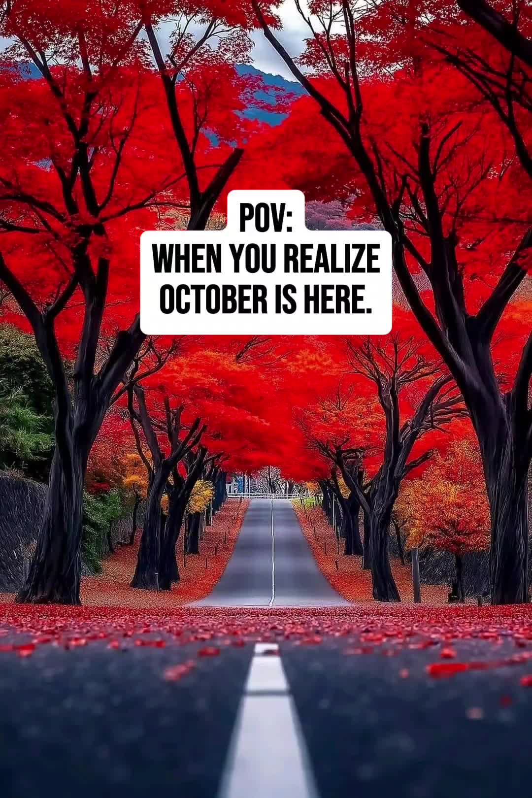 @Just_Angel❌️79