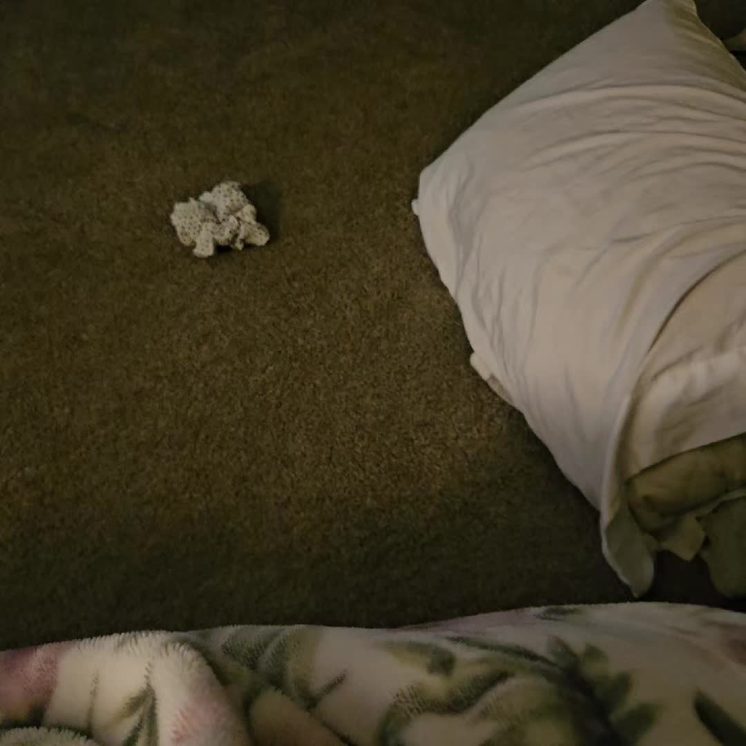 @➇&beta;𝐚ᒪᒪ 𝐓𝓱𝑒 Ƥя&Oslash;𝐓&Oslash;𝕘𝑒𝐍