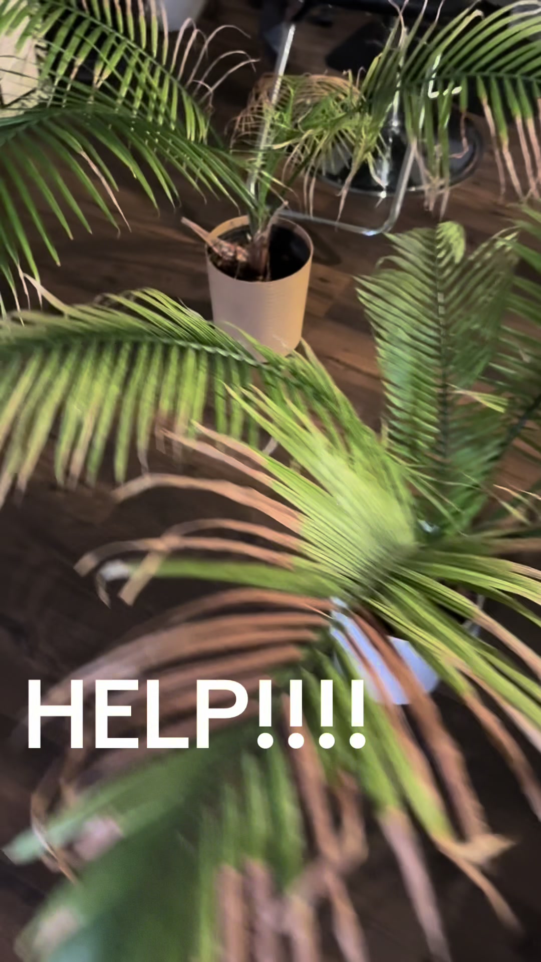 @AddressmeCorrectly