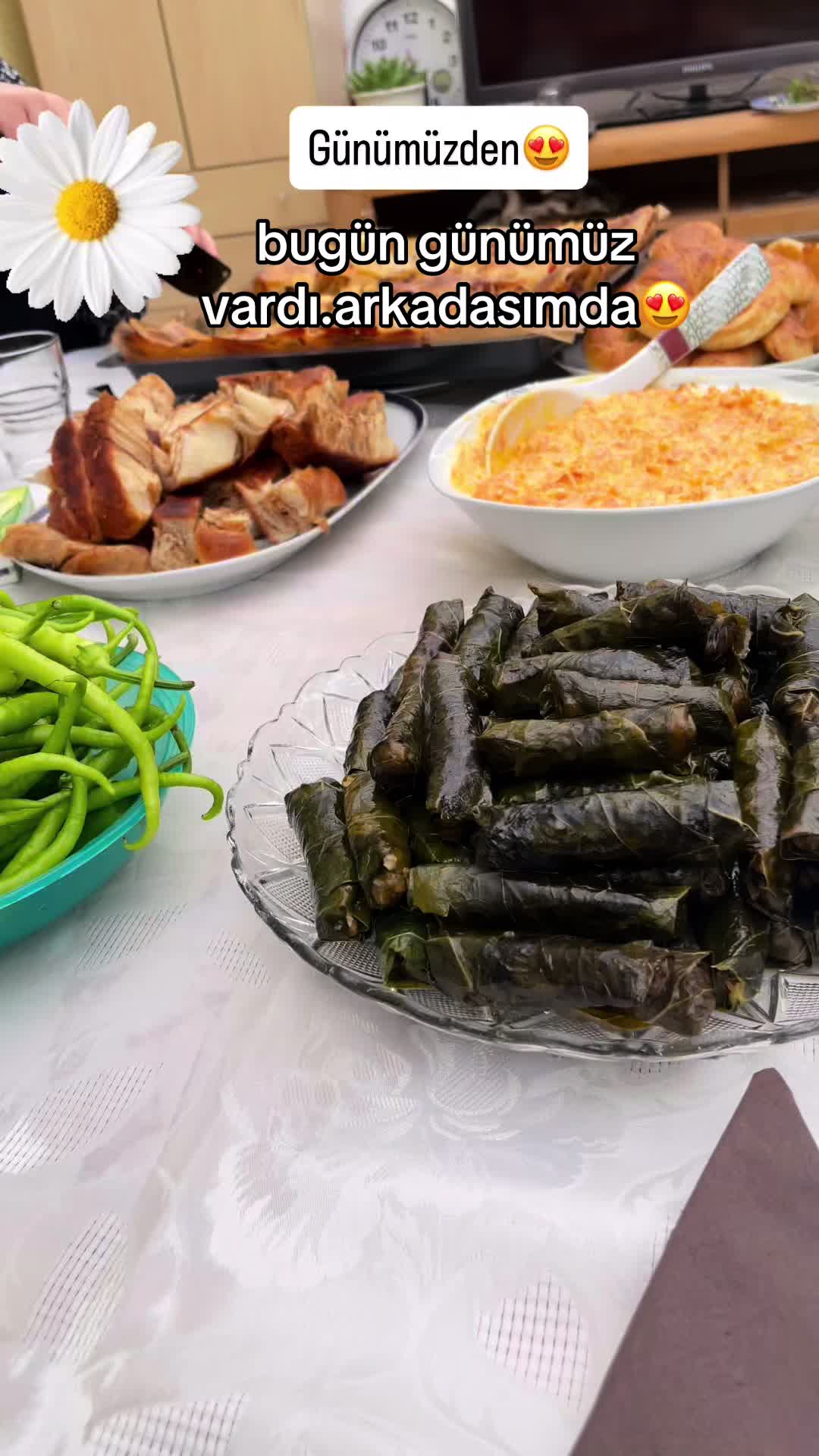 @Gurbetci hatun 38