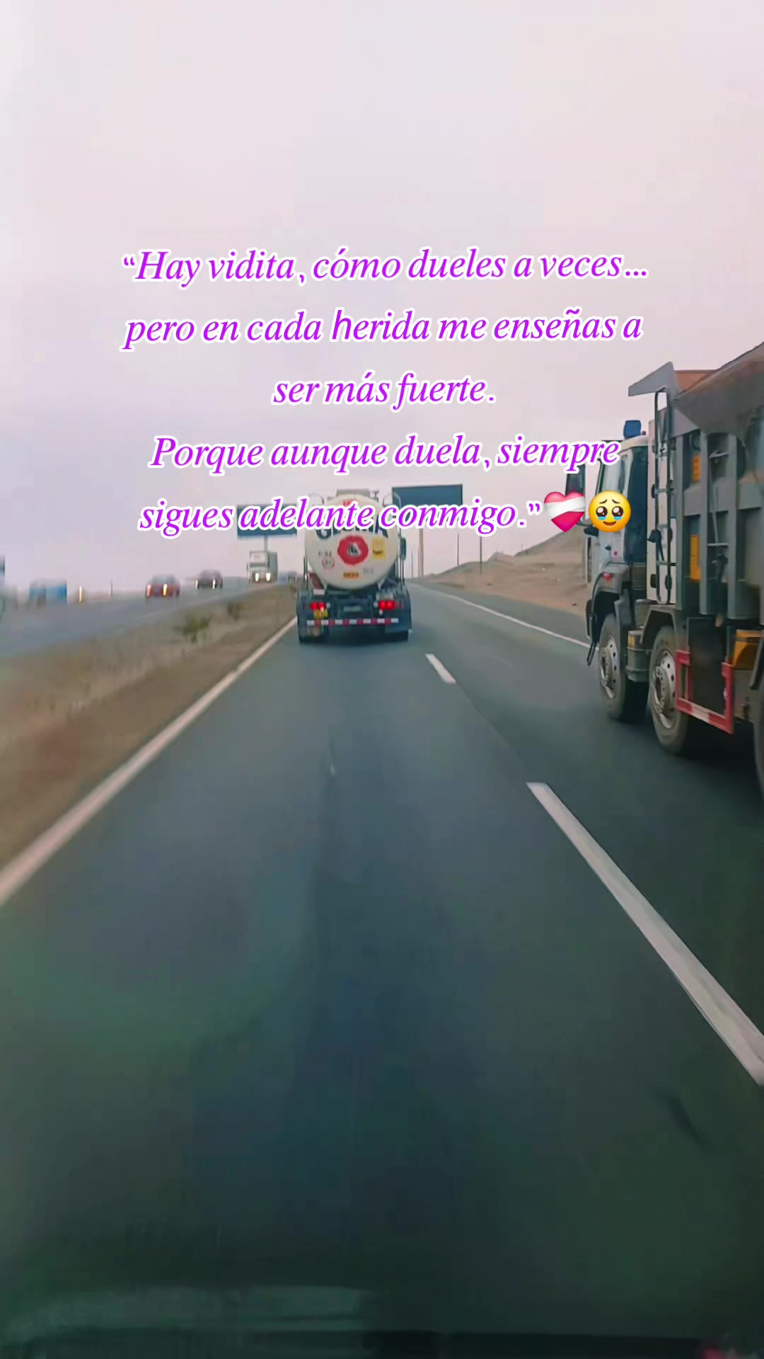 @🌼Liliana❤️🦋💕