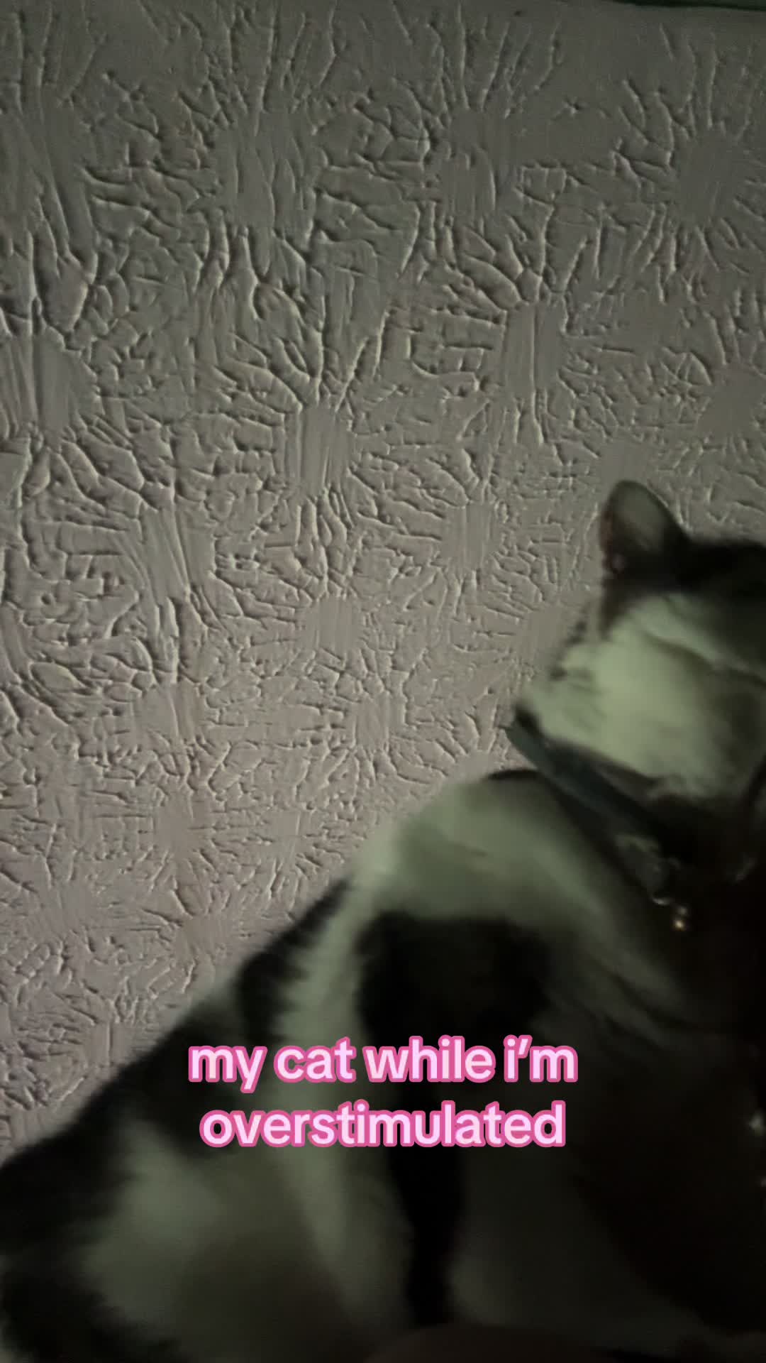@artemis 𓆩ᥫ᭡𓆪