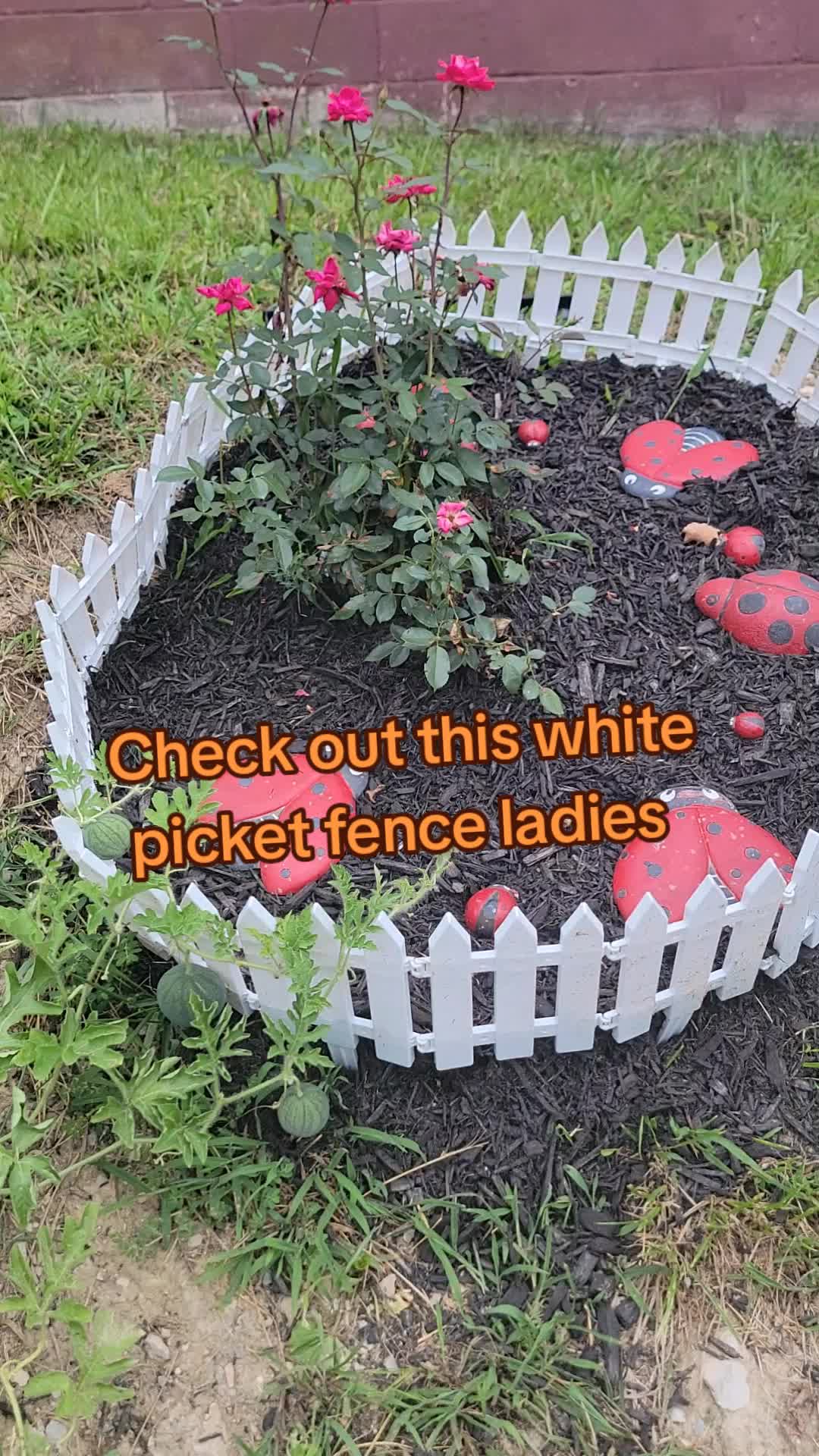 @kycountryboy80