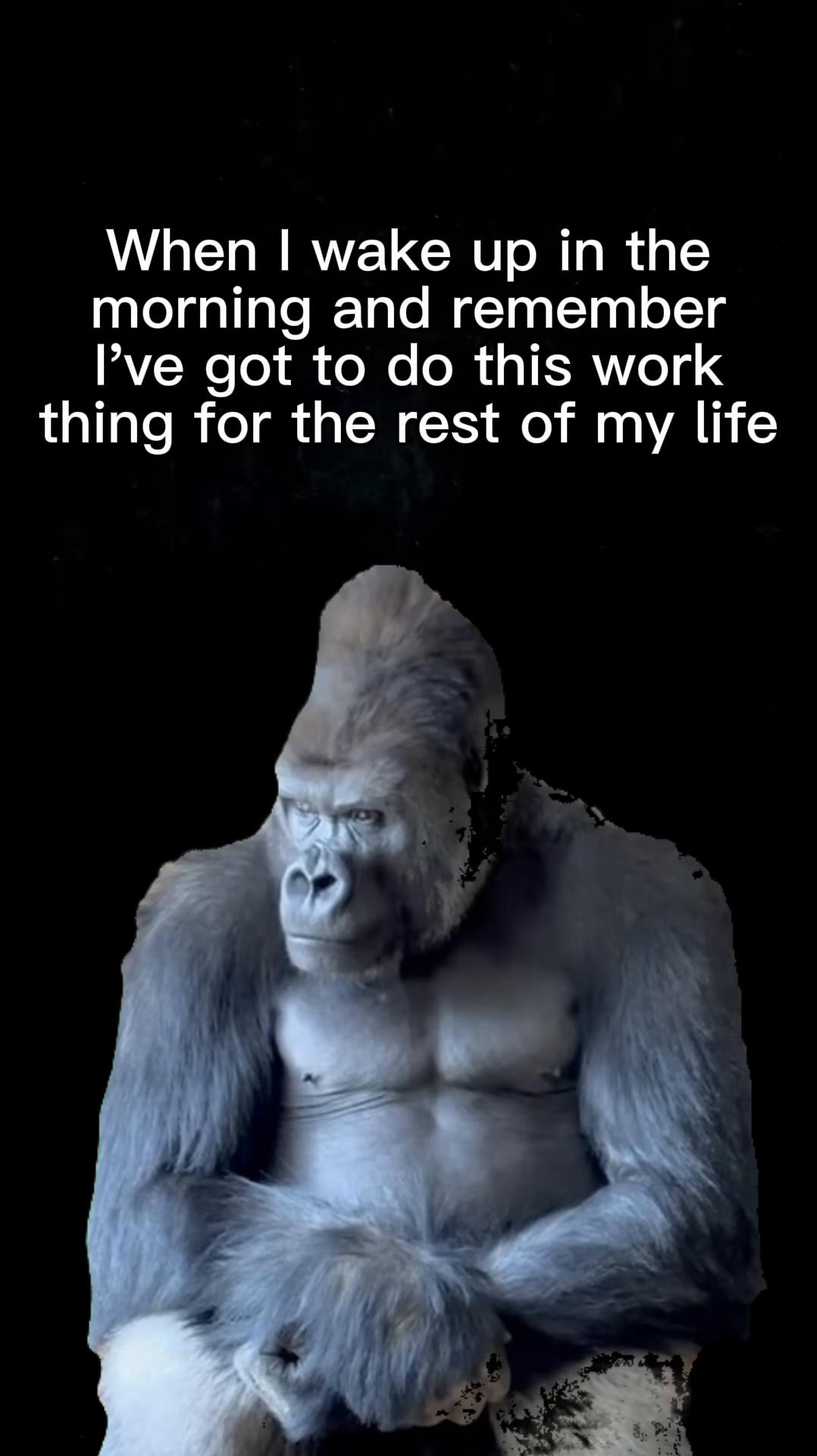 @biggrutheone