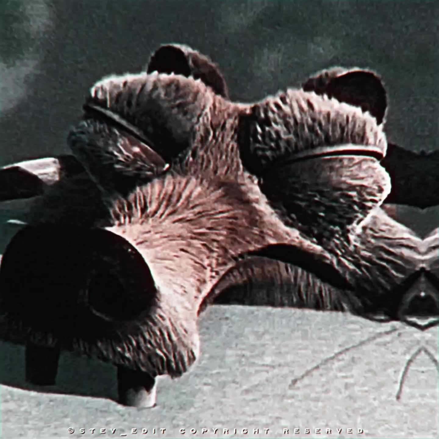 @𝑺𝑻𝑬𝑽_𝑬𝑫𝑰𝑻