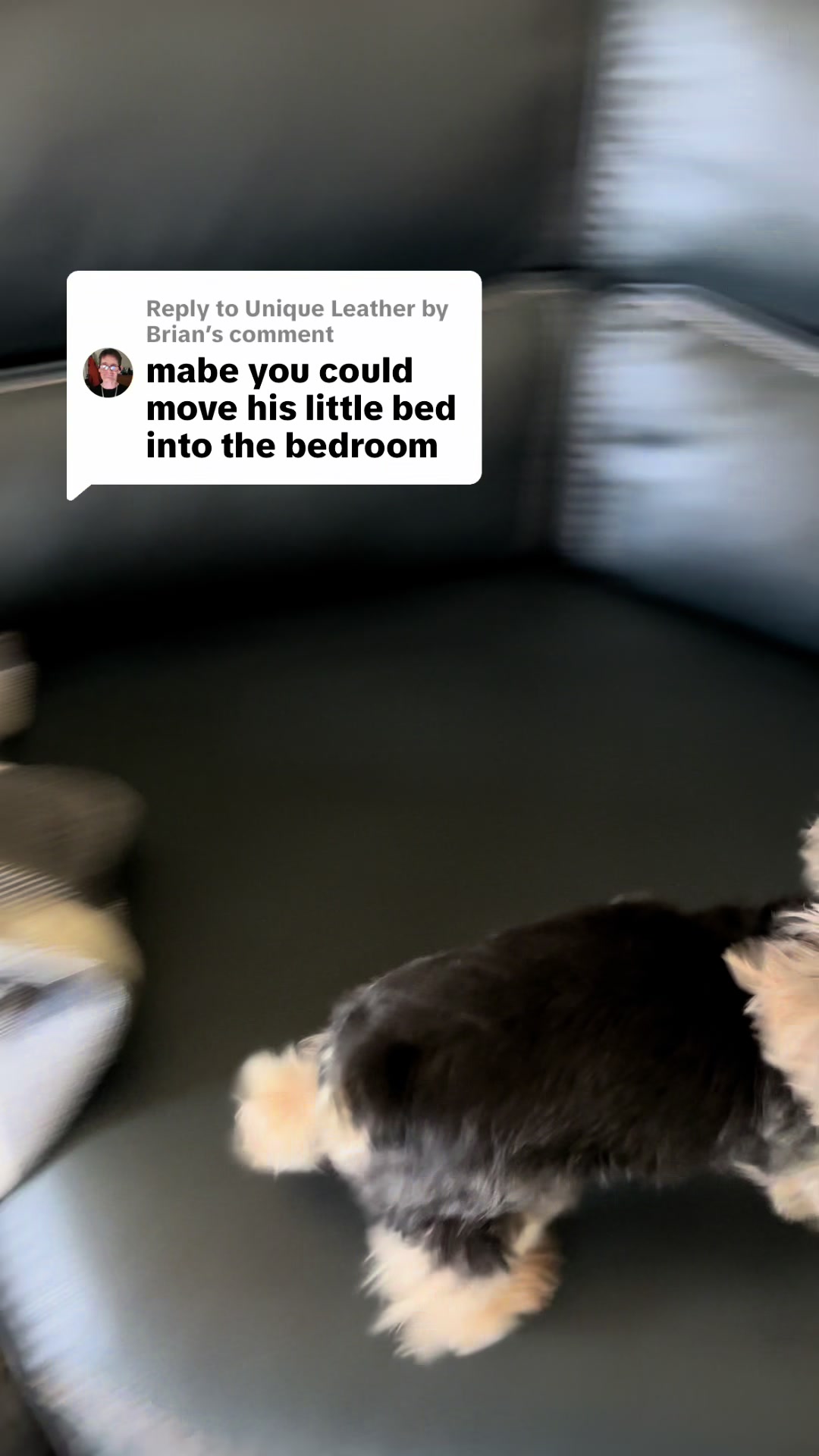 @Spikey Michael
