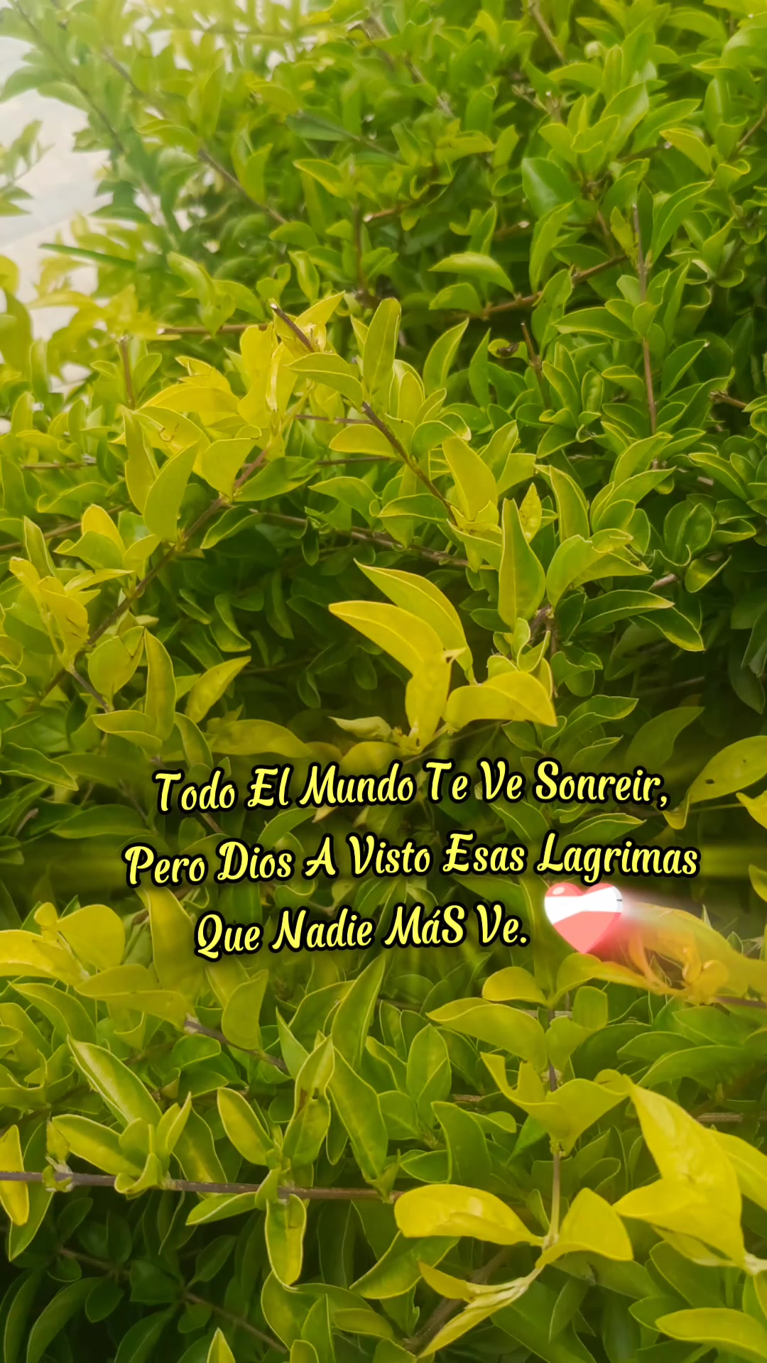 @🦋Ana🦋 G&oacute;mez🌼