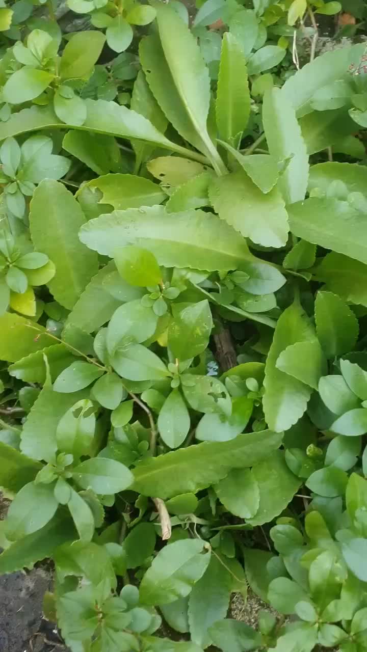 @thương c&ocirc;ng sức khỏe