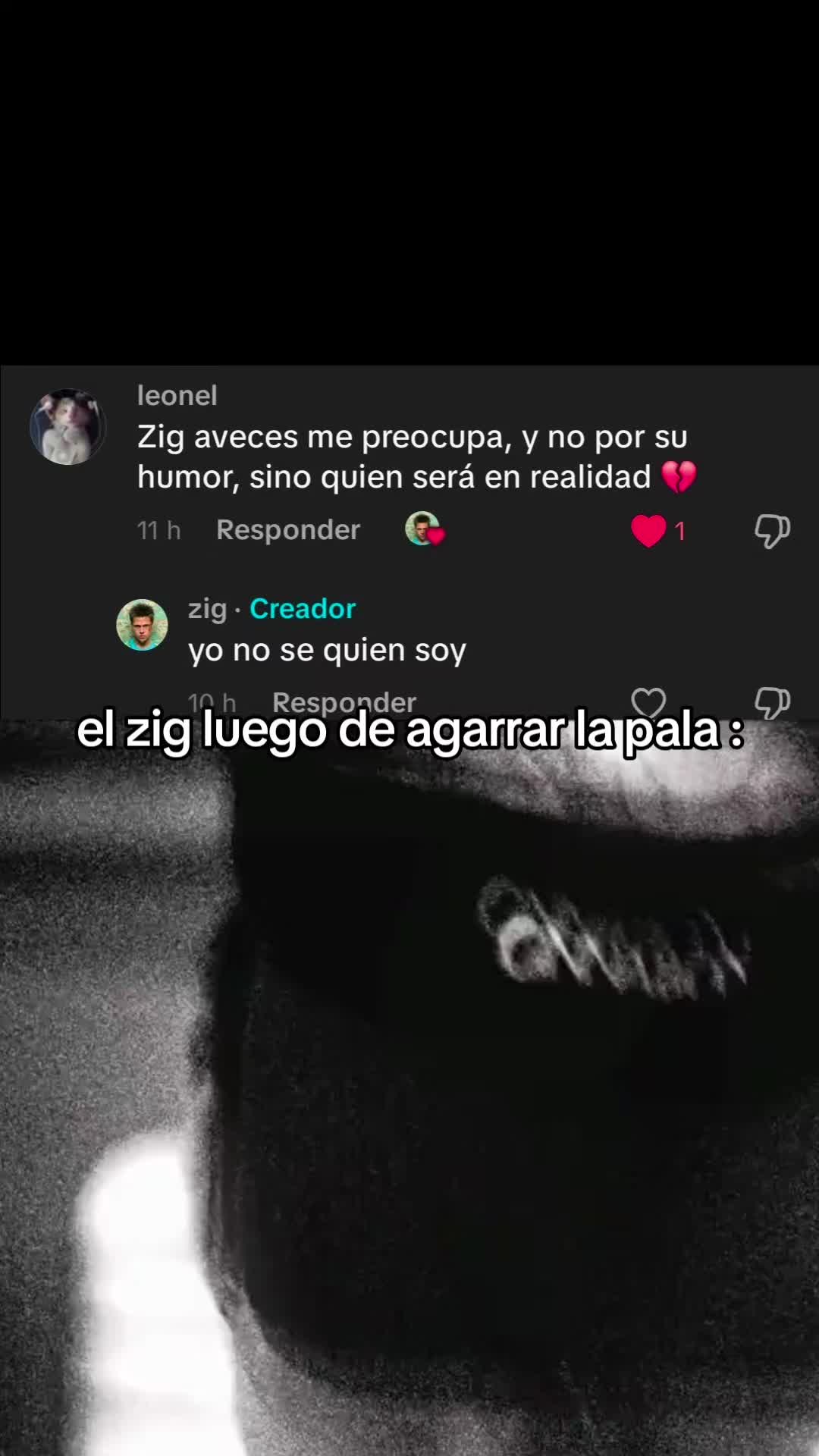 @zig
