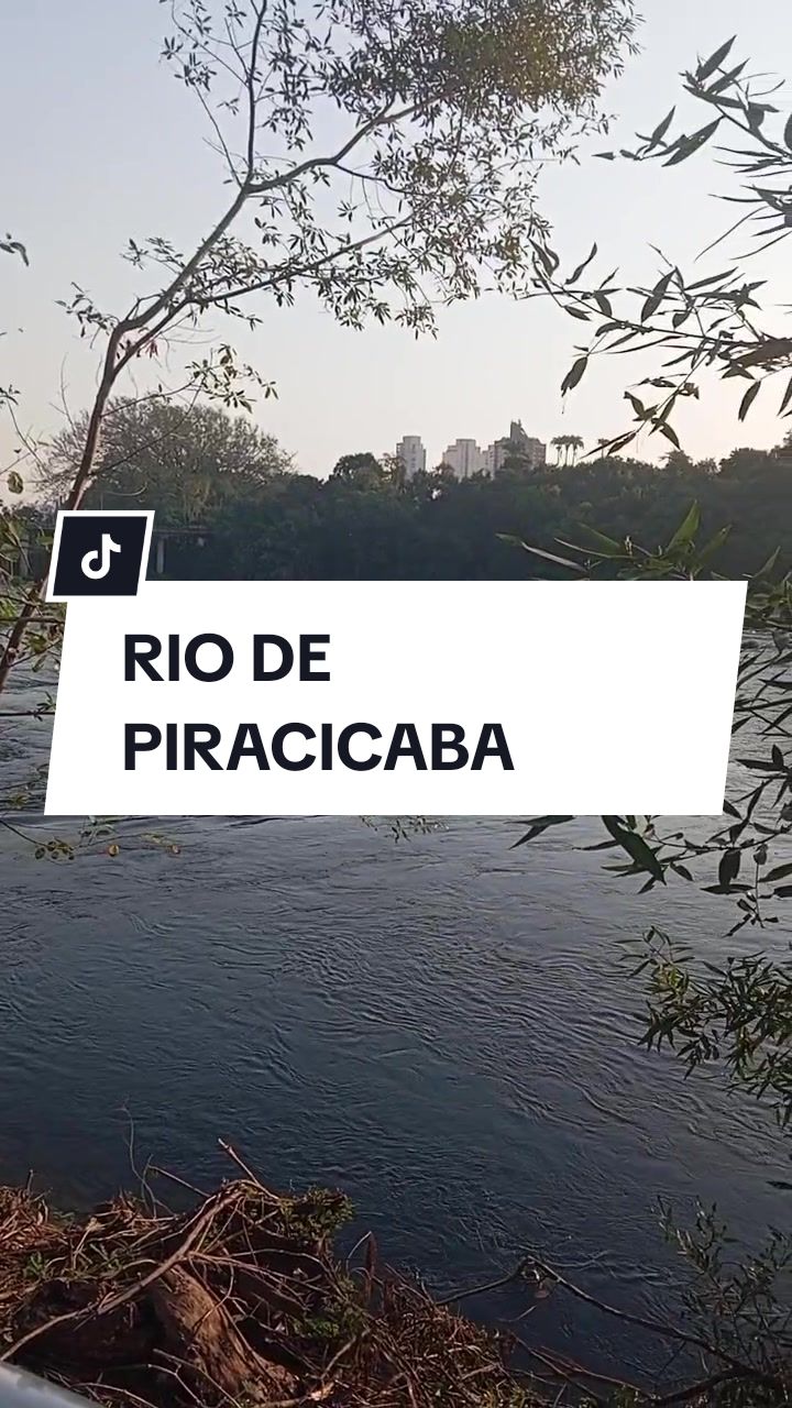 @Fernanda
