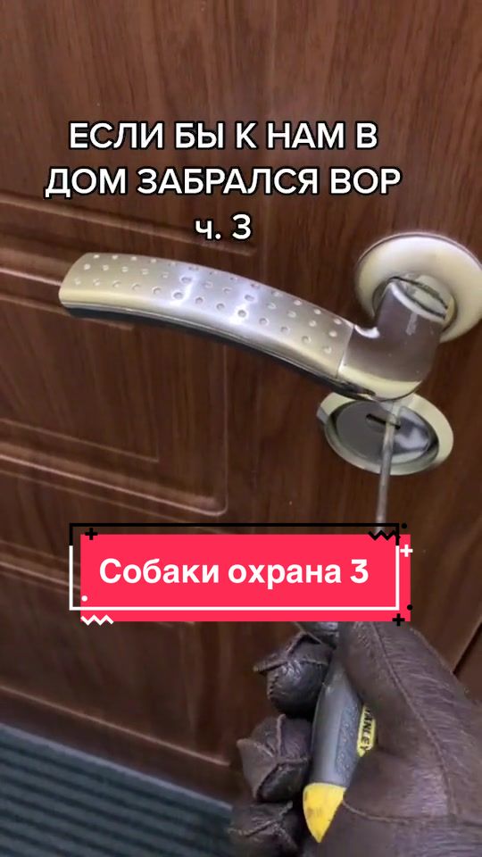 @Йорк Донни 🇺🇦