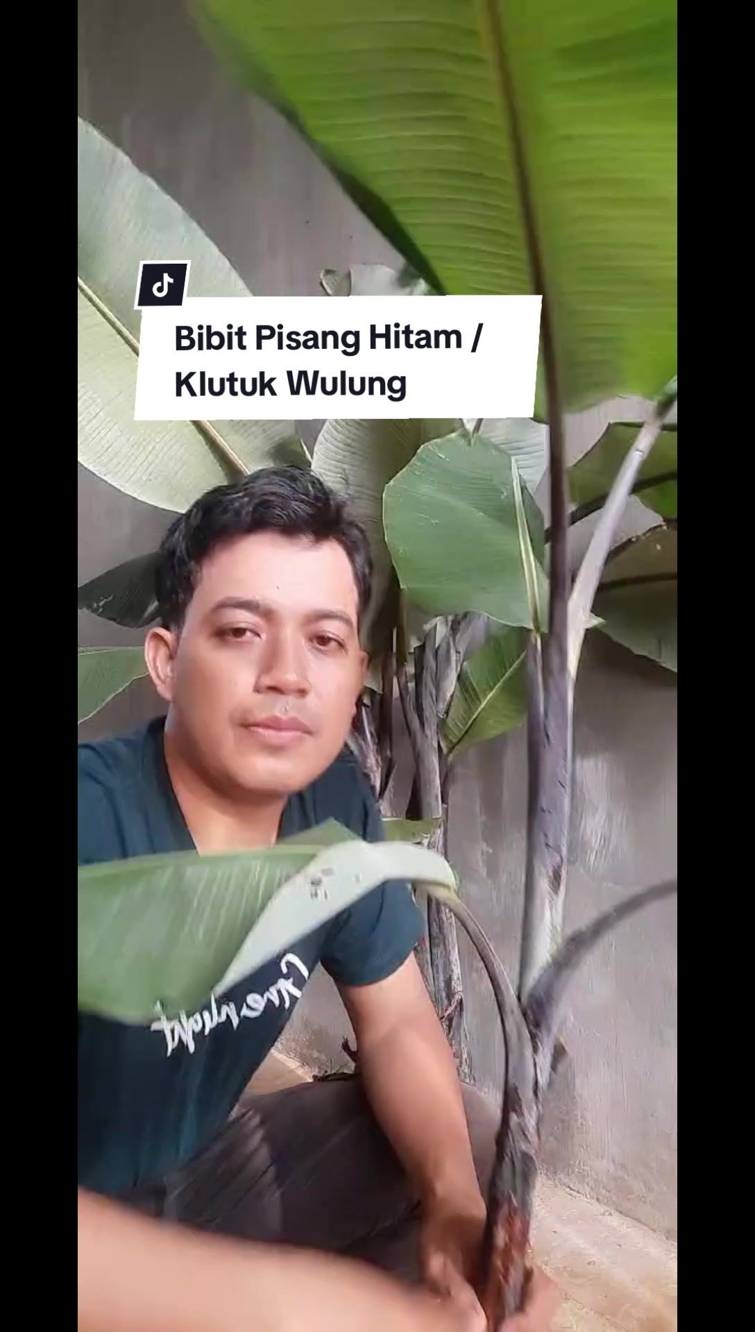 @NirwanaGarden
