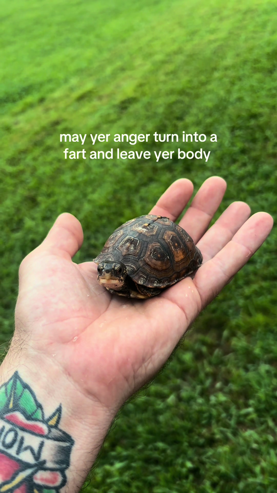 @okcrawdaddy