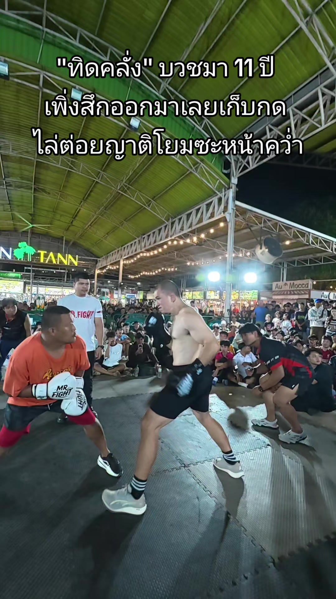 @Mr.Fight
