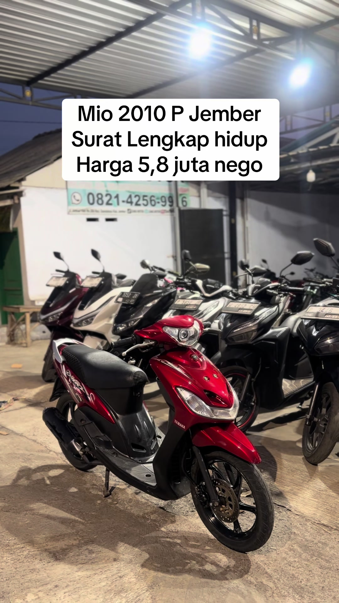 @Zang Motor