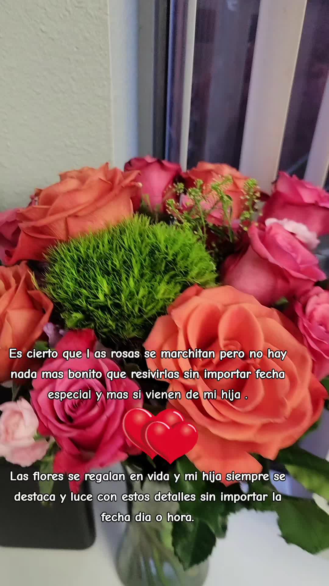 @Cecilia Machado