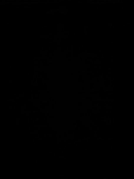 @Zeeshan Ali Soomro 🇵🇰