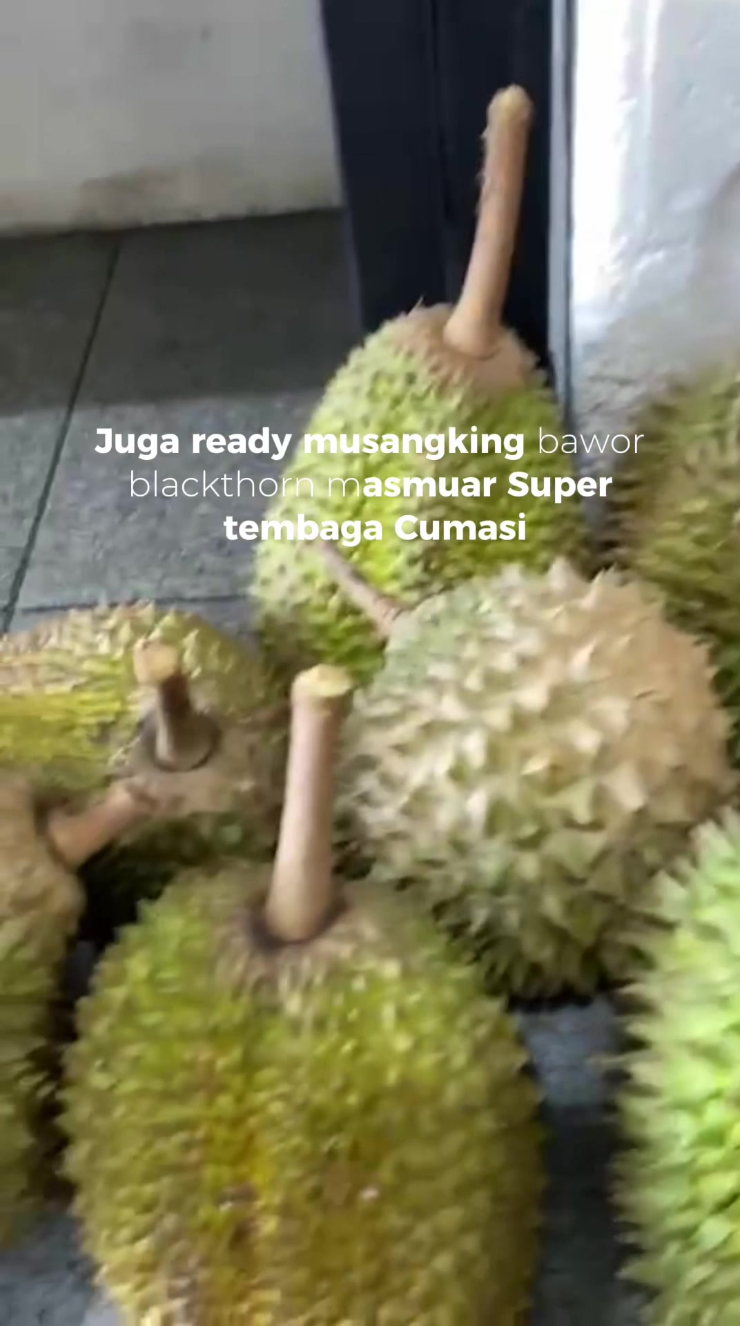@Cicip Durian
