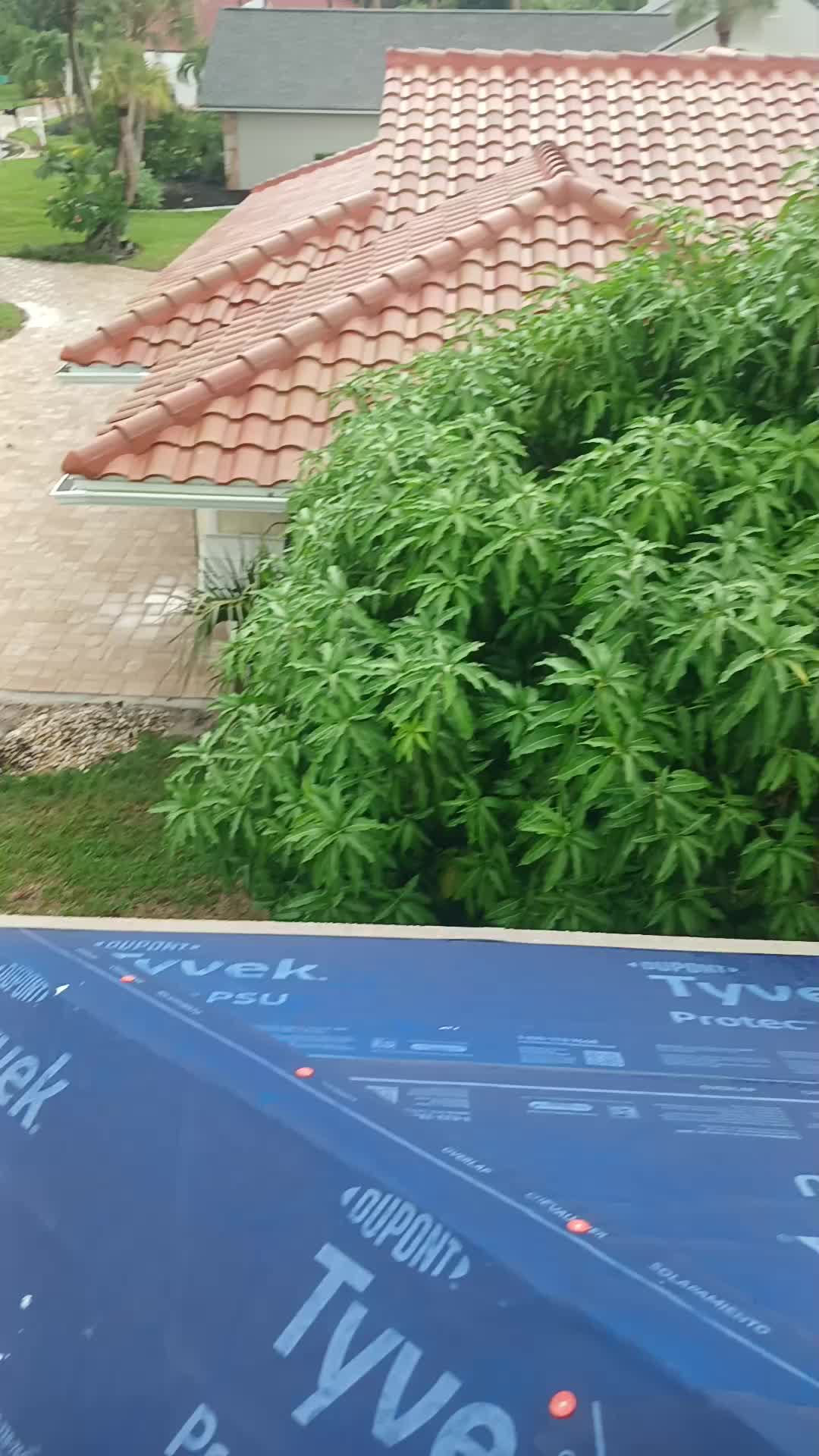 @Él Perico