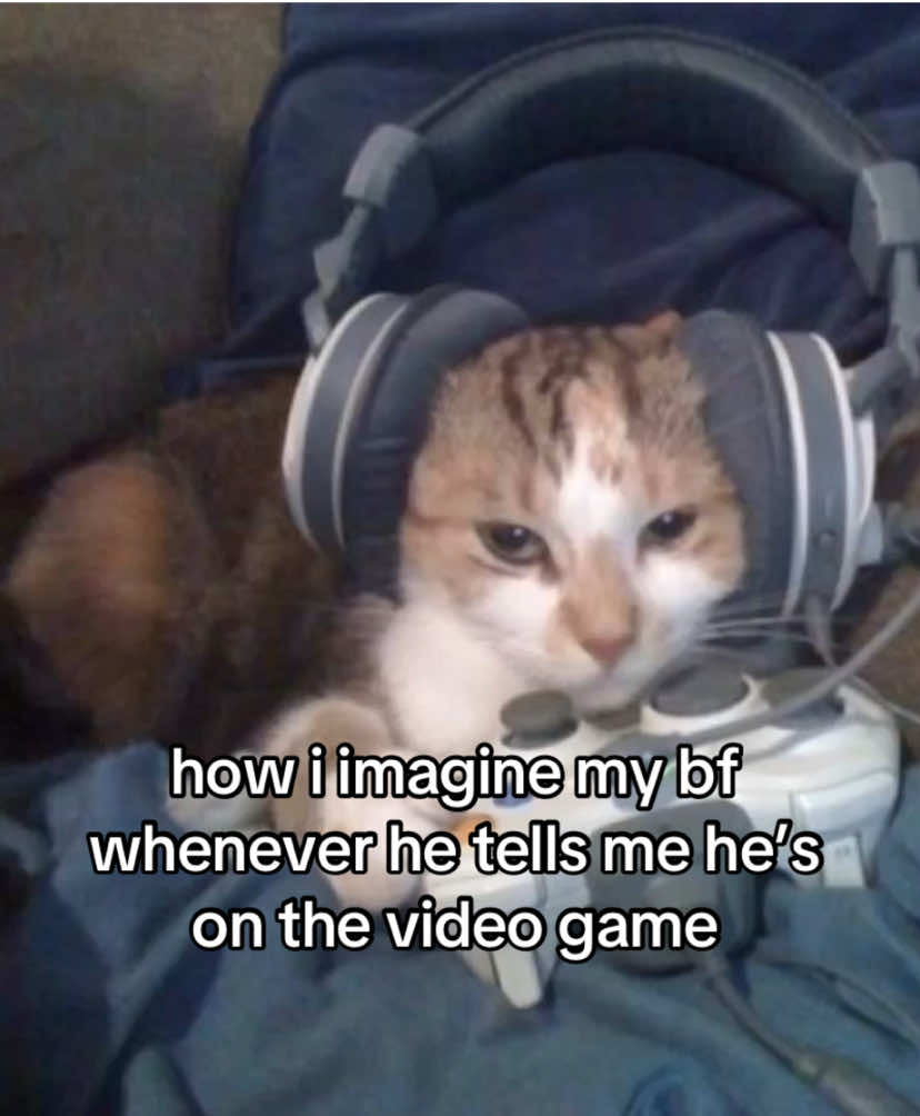 @the meow archive