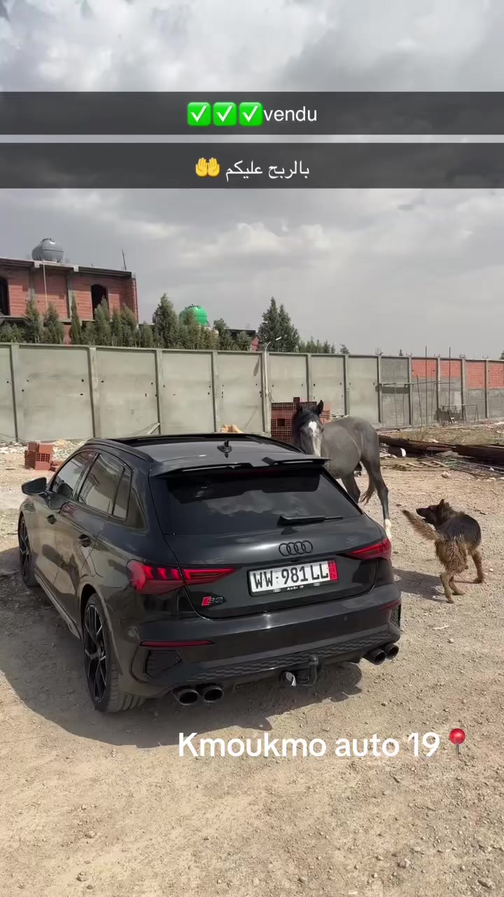 @KmouKmo Auto