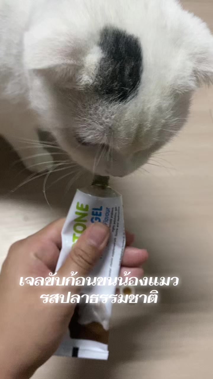 @εїз dokmai ✿ ꫂ ၴႅၴ
