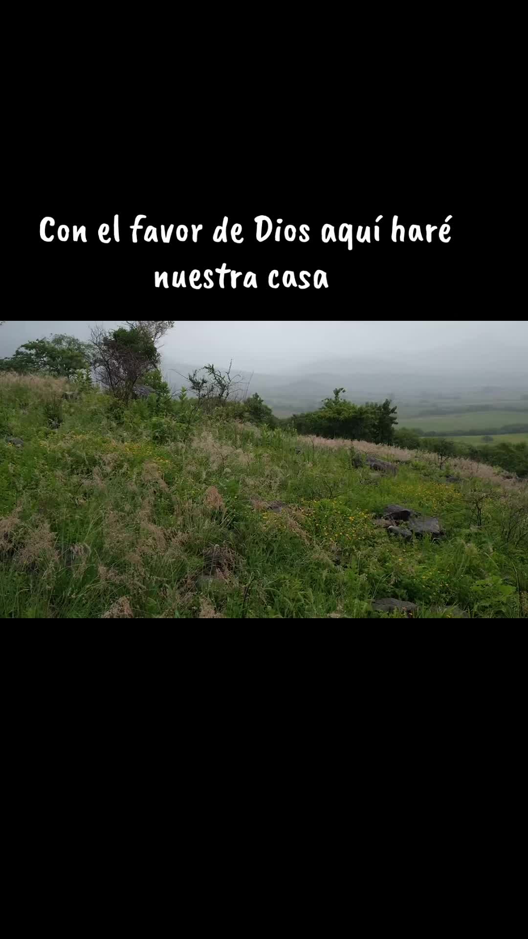 @Antony Saavedra