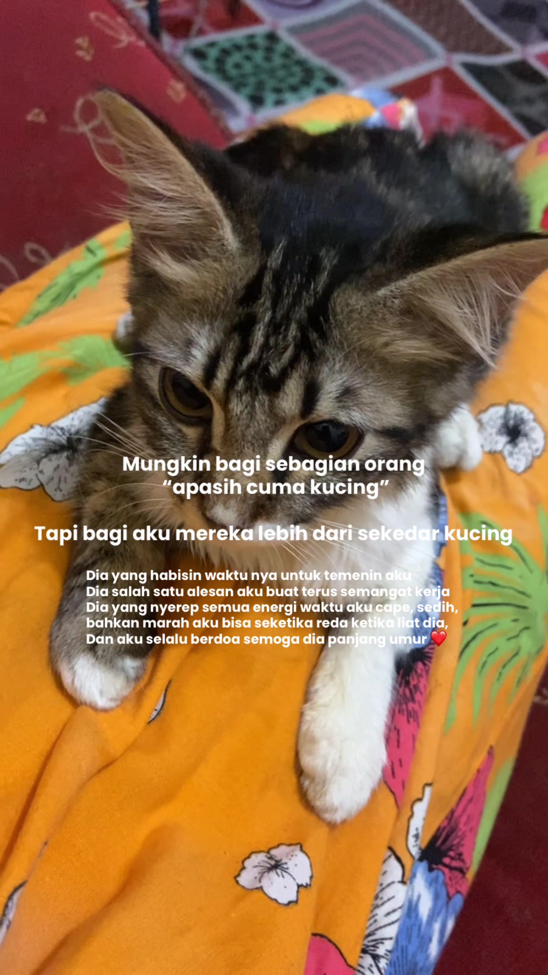 @Cikchubwa