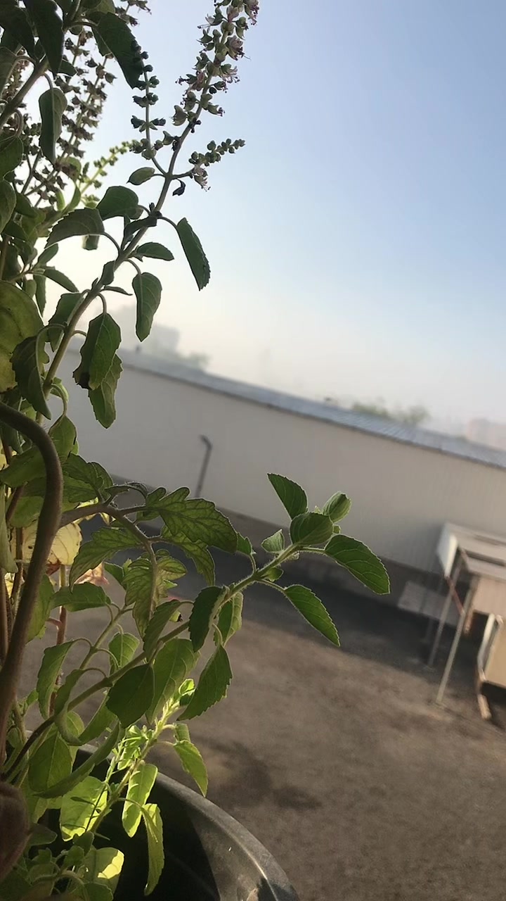 @manpreet_k_padda
