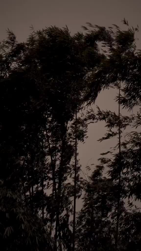 @oliversantos6965