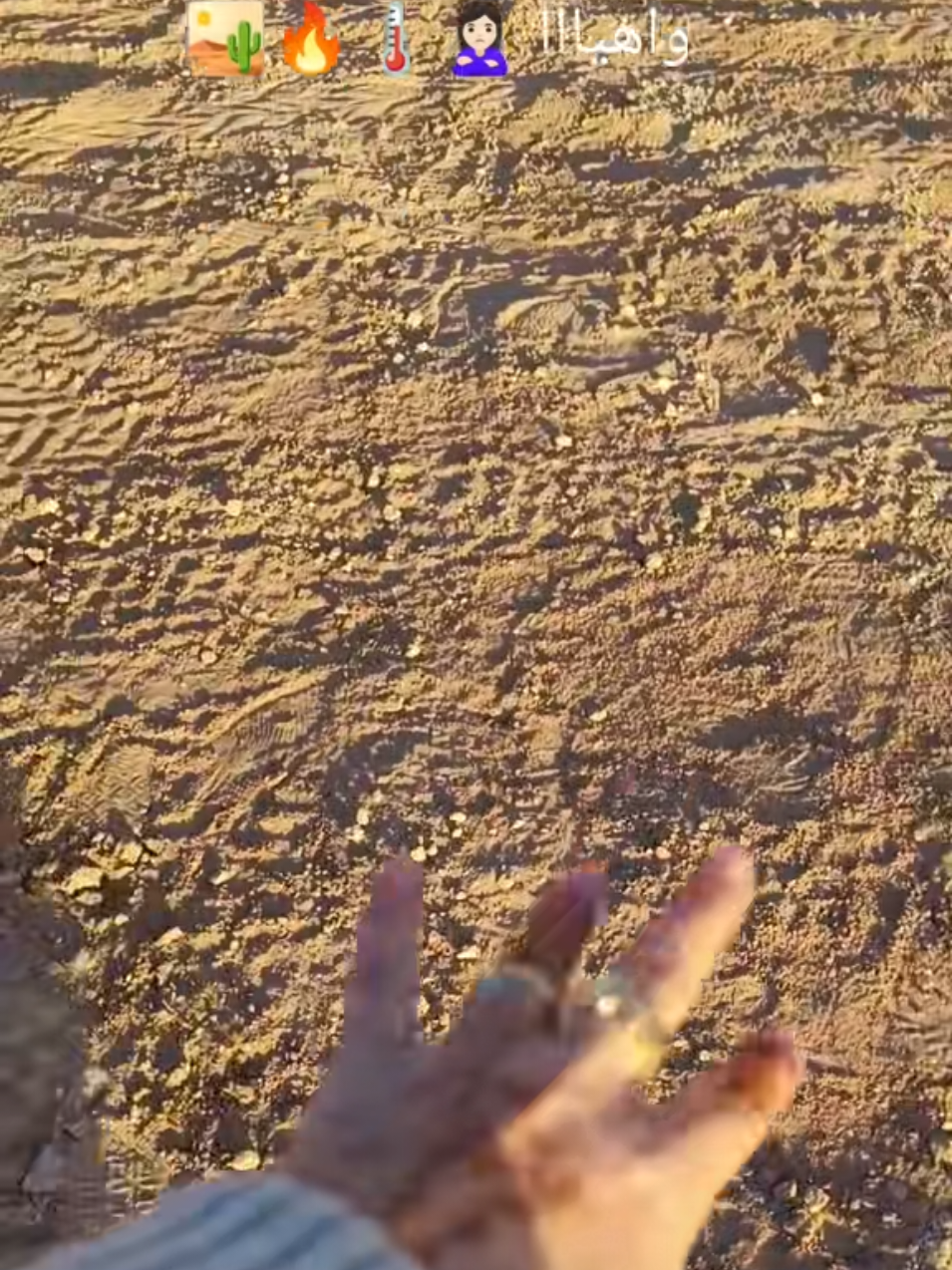 @moroccanTrips